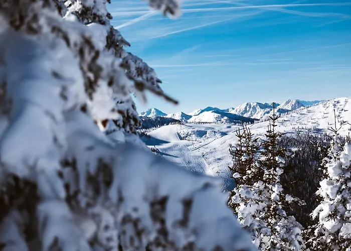 Hotel Barbara Schladming